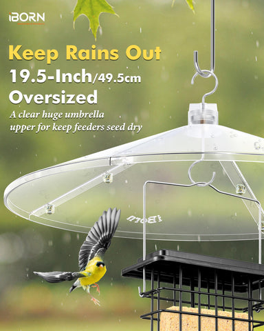 iBorn transparent cover provides 360 degree feeding view without disturbance