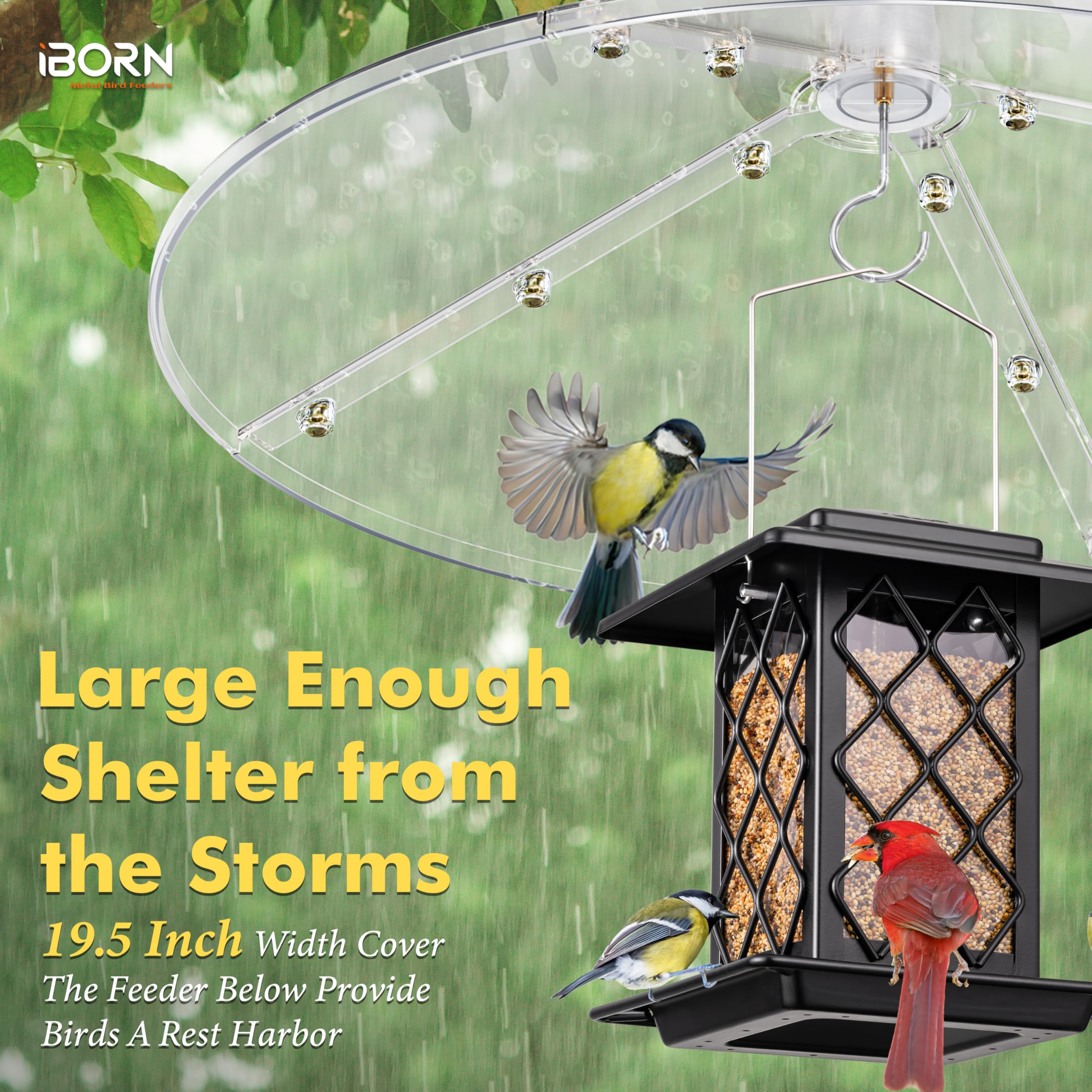 iBorn squirrel guard helps deter gnawing while birds feed