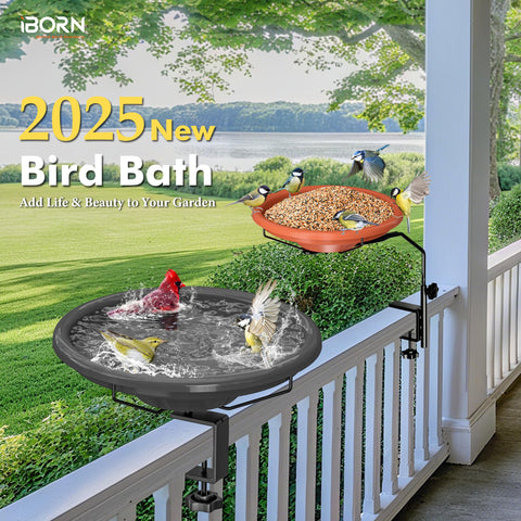 iBorn BPA-free bowl designed for safe outdoor water access