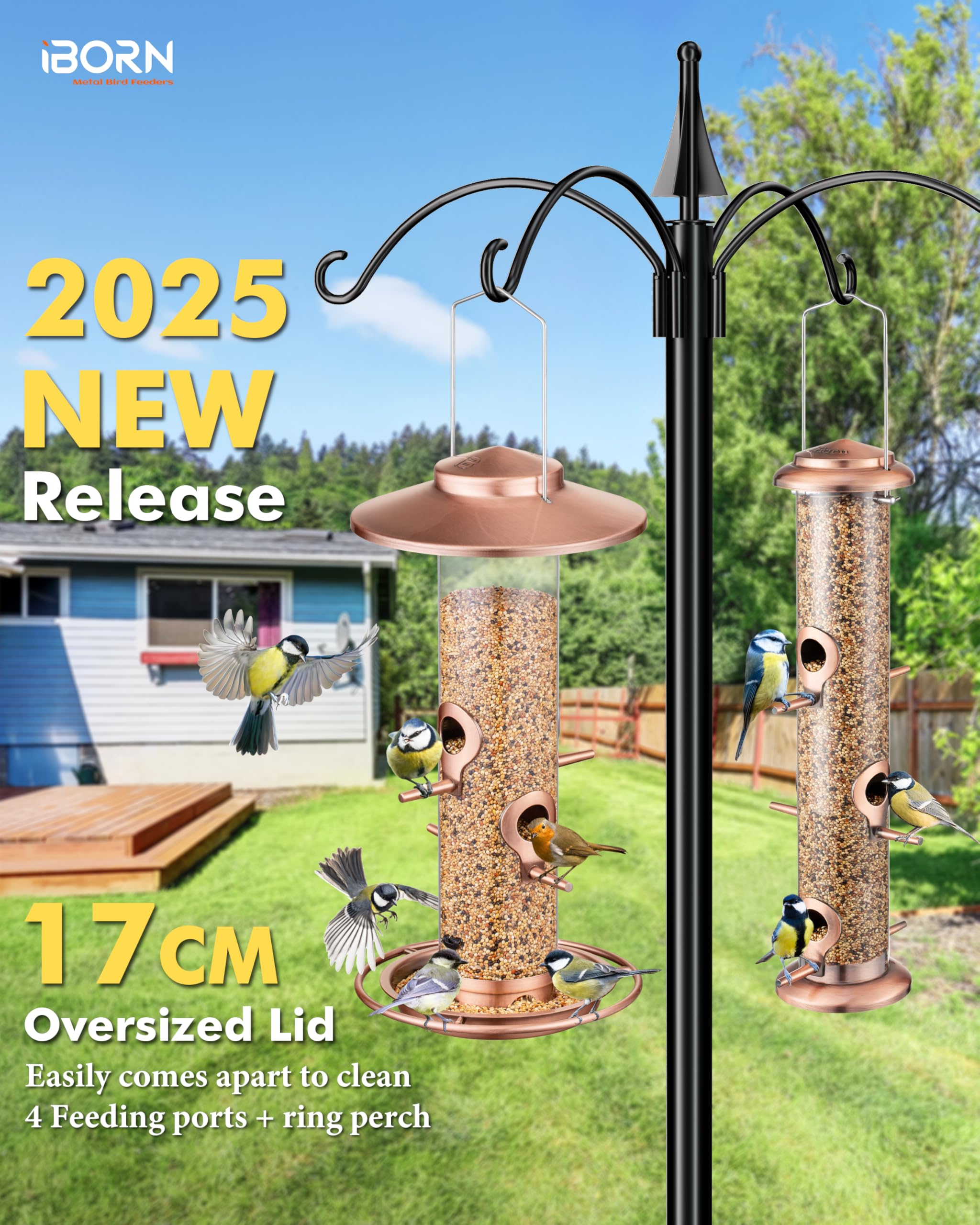 iBorn bird feeder with 17cm roof keeps ports dry and birds comfortable in weather.