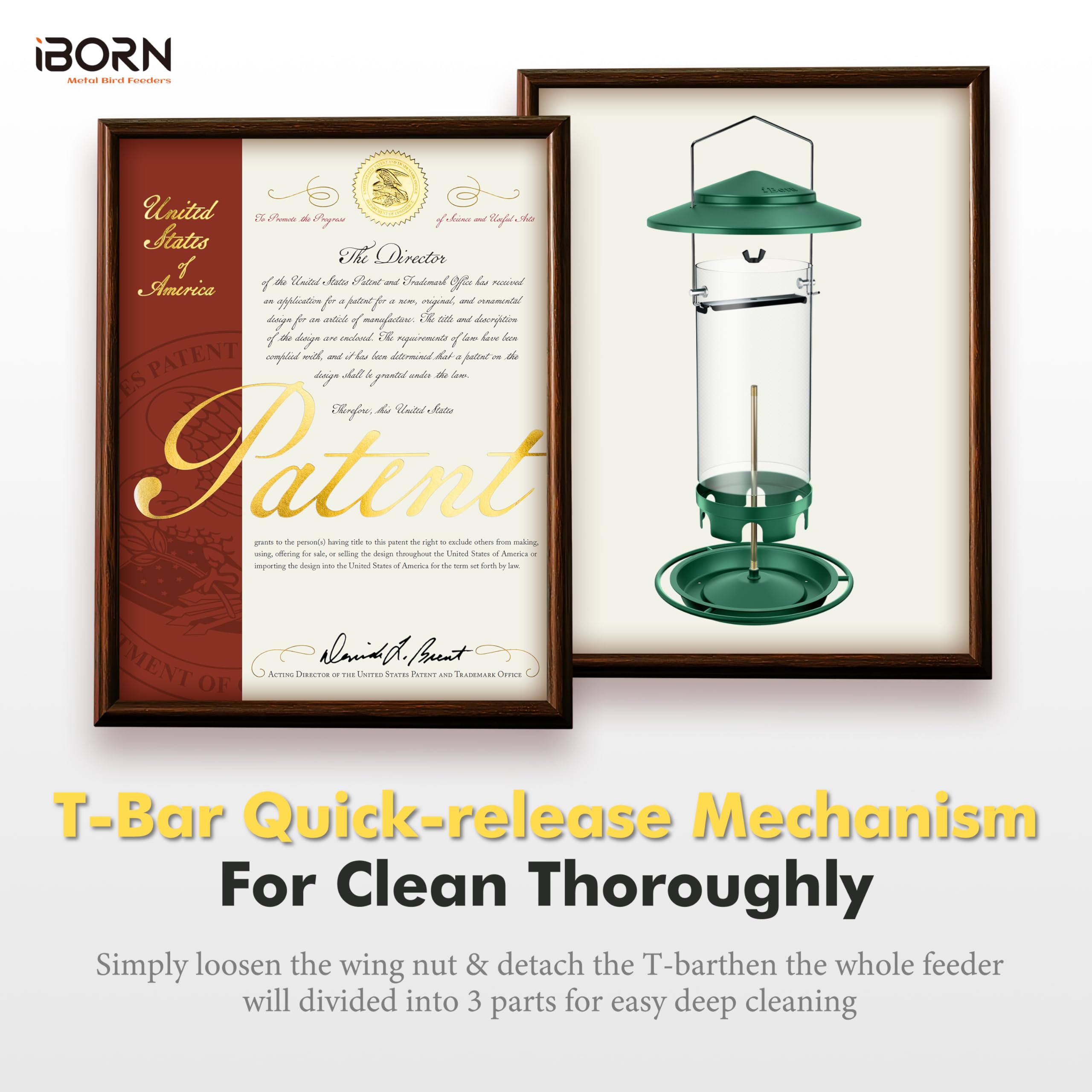 iBorn Bird Feeder with 2-2lb capacity reduces refills and seed waste.