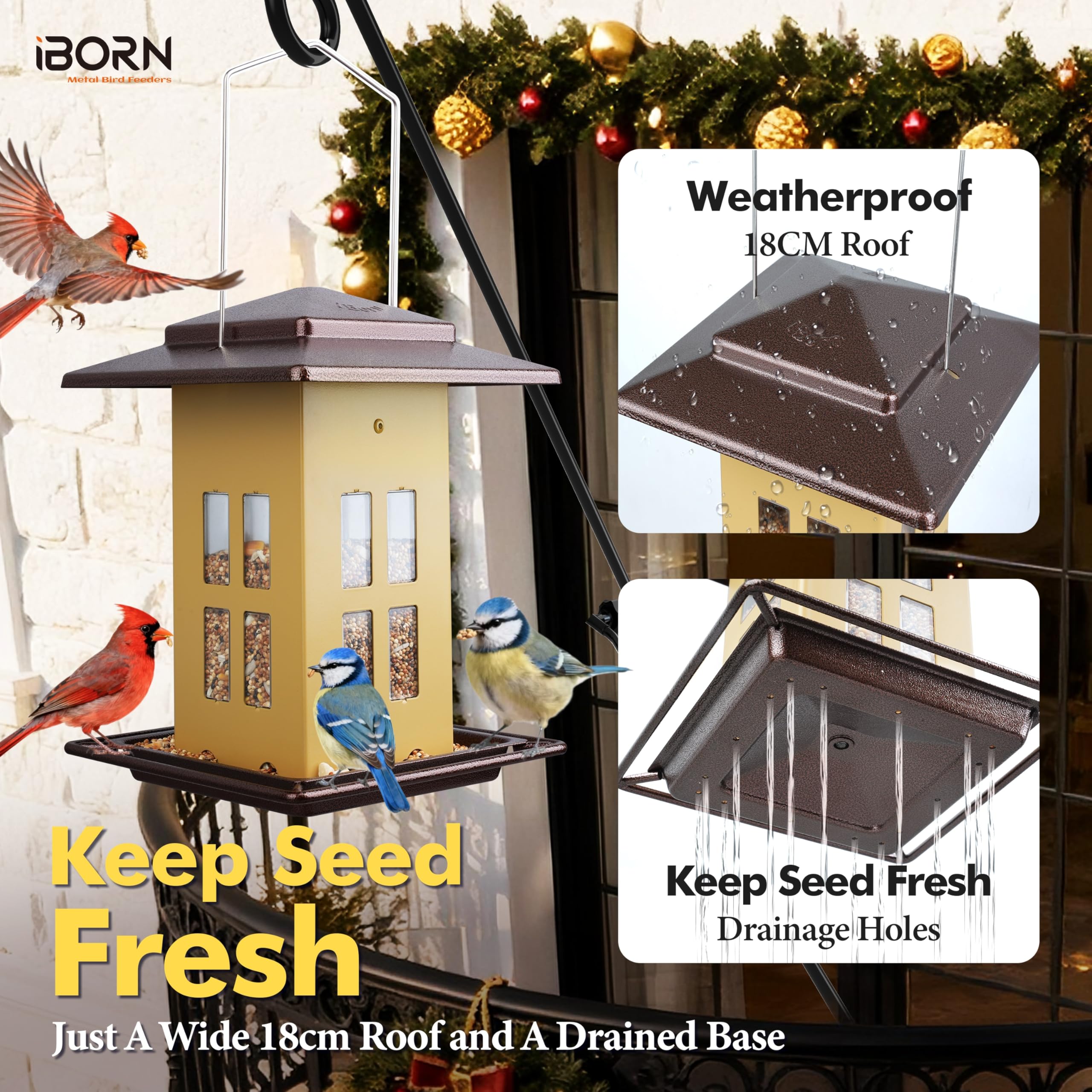 iborn bird feeder ample-perch-space supports multiple birds feeding