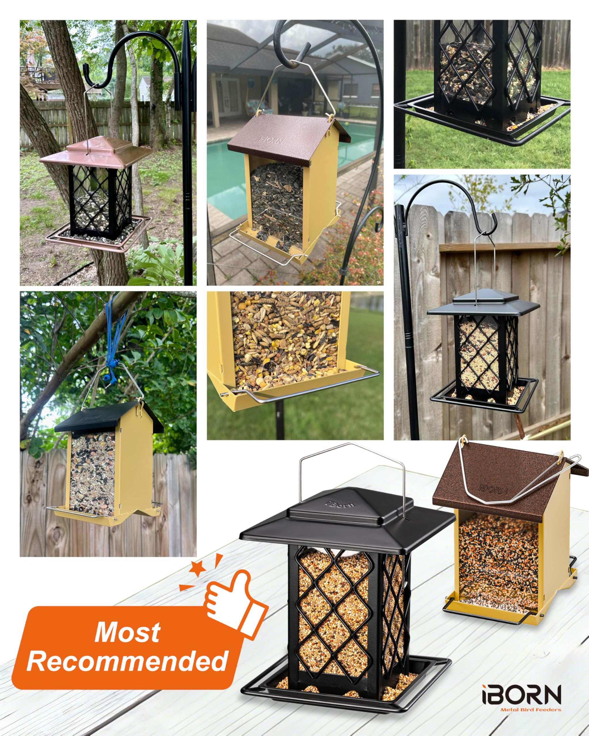 iBorn 1.5 lbs capacity supports multiple visits from songbirds.