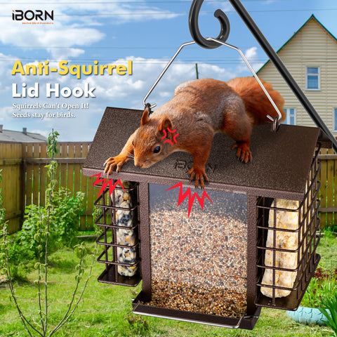 iBorn bird feeder with double suet holders offers versatile feeding options for birds