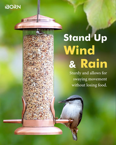 iBorn copper-coated, weather-resistant feeder withstands all seasons
