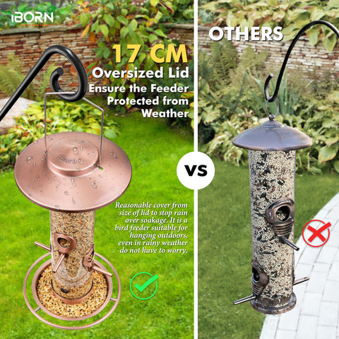 iBorn bird feeder with four ports and 360° perch invites multiple birds to dine.