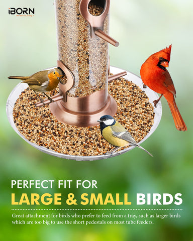 iBorn feeder in garden setup complements outdoor decor.