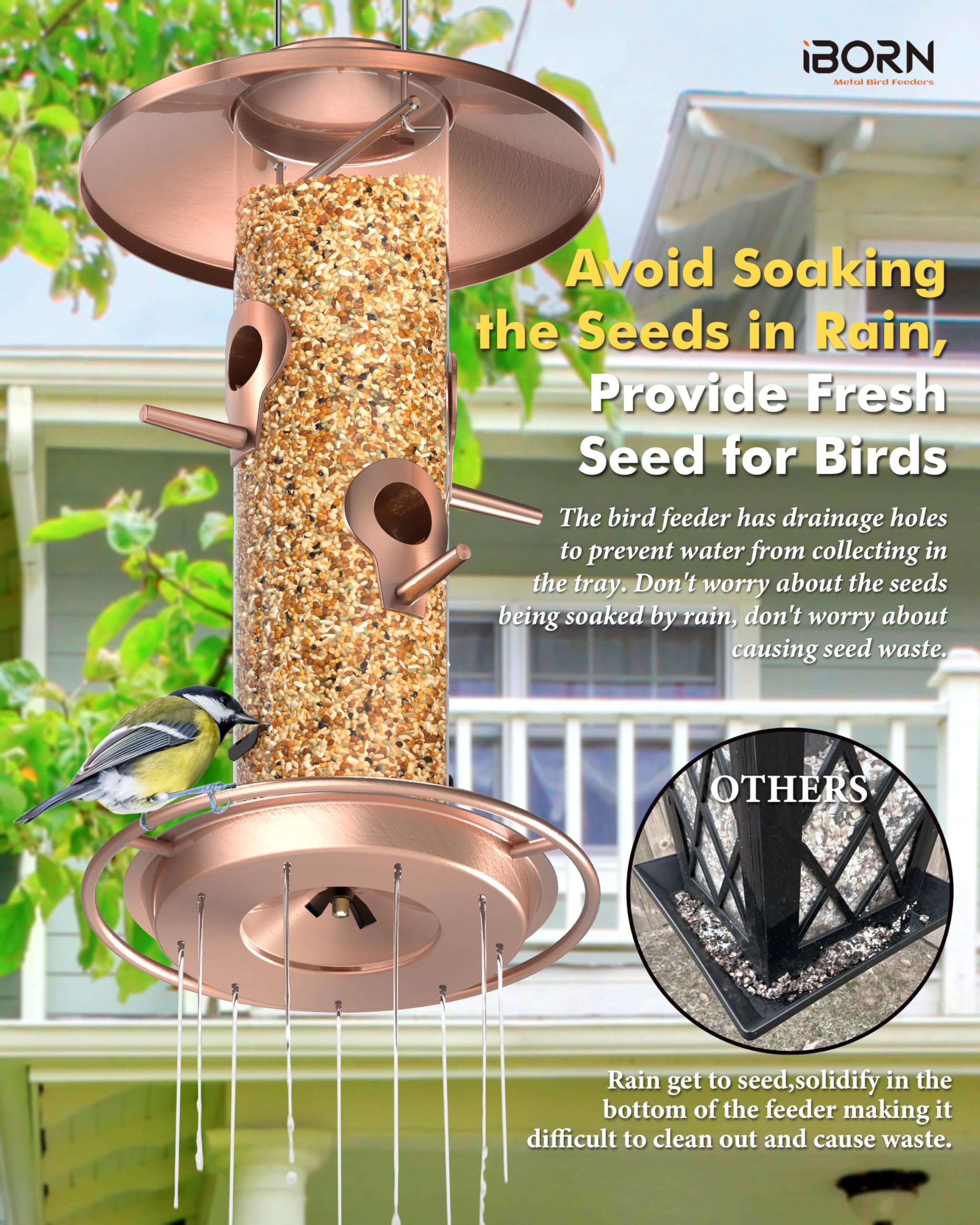 iBorn bird feeder ideal for outdoor gardens, attracting colorful visitors.