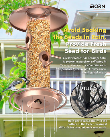 iBorn bird feeder ideal for outdoor gardens, attracting colorful visitors.