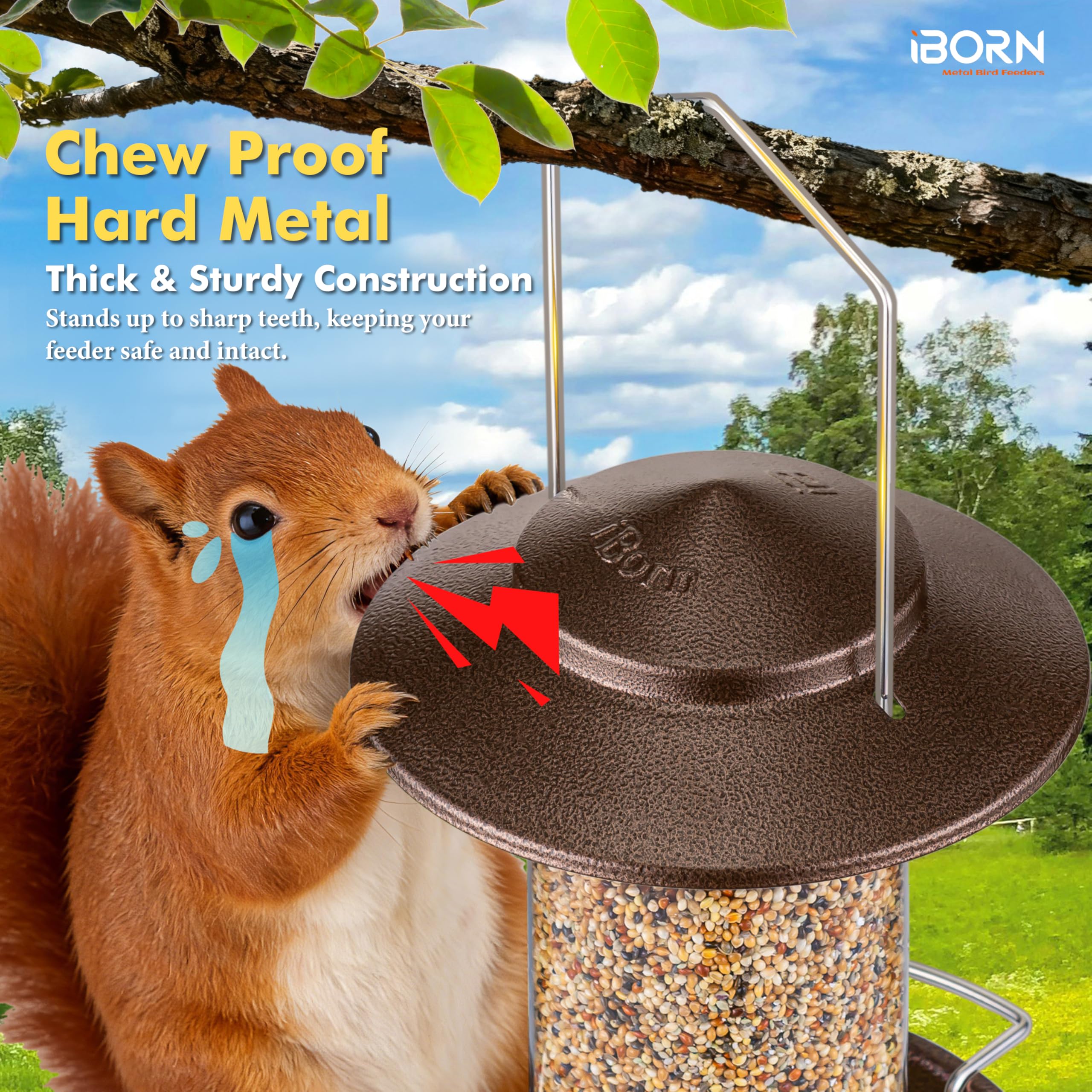 iBorn Bird Feeder's powder-coated roof and tray resist rust in varying weather.