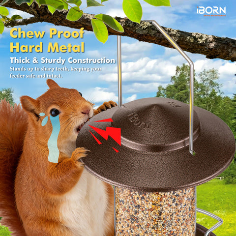 iBorn Bird Feeder's powder-coated roof and tray resist rust in varying weather.