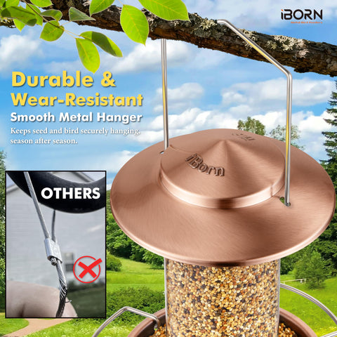 iBorn feeder supports corn kernels and shelled seeds for diverse feeding