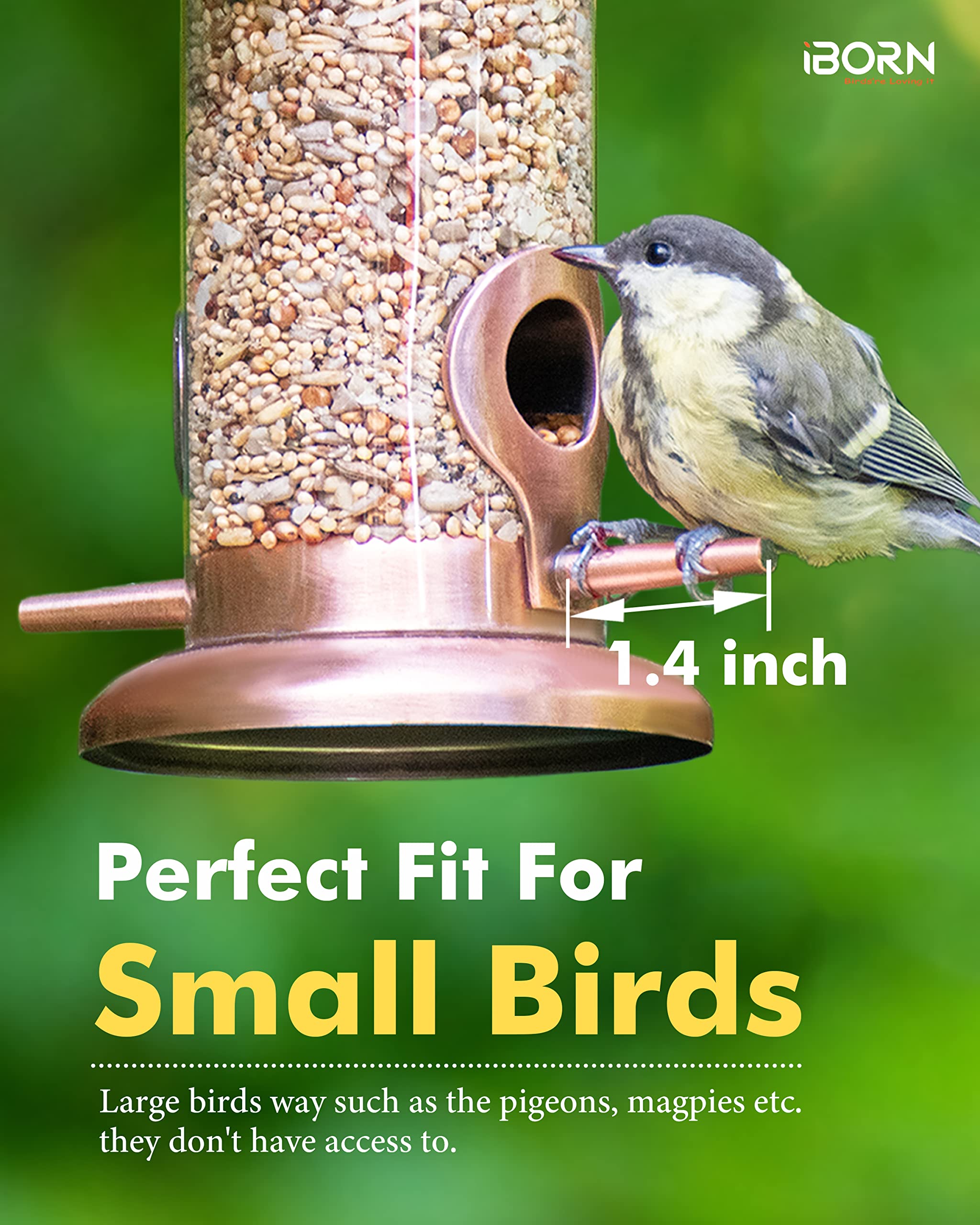 iBorn bird feeder with clear seed tube for easy monitoring