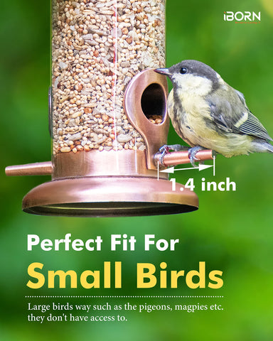 iBorn bird feeder with clear seed tube for easy monitoring