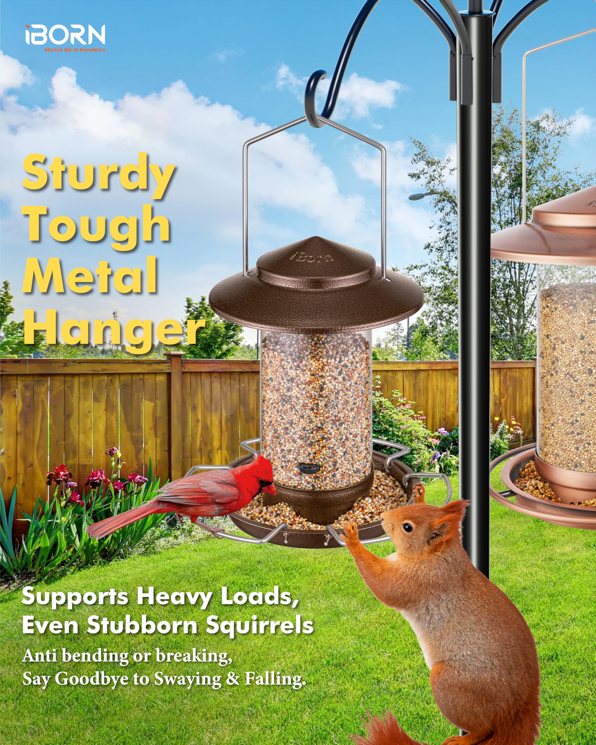 iBorn Bird Feeder's three perches offer ample landing space for cardinals.