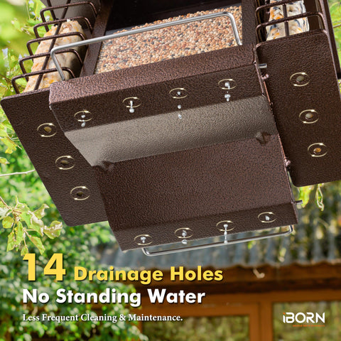 iBorn three-point-two-lbs seed capacity supports longer bird visits