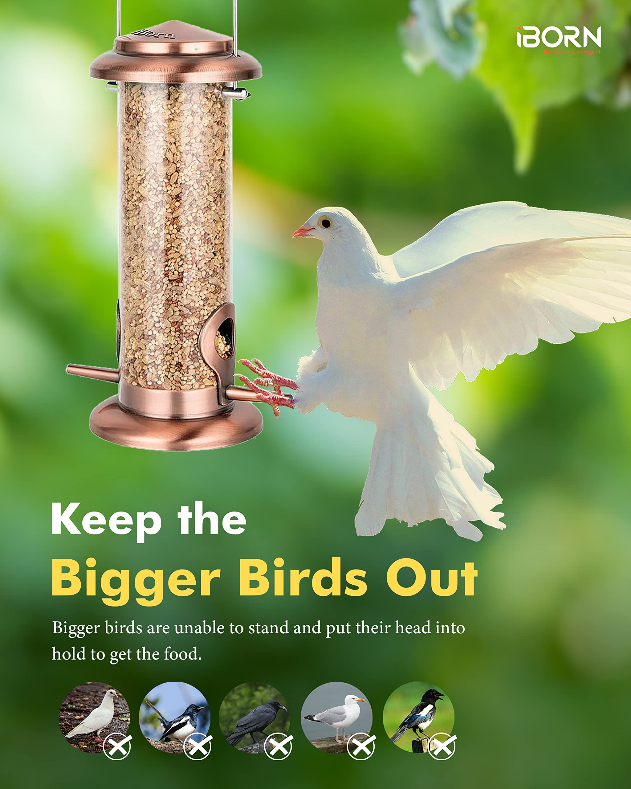 iBorn 8-inch two-port feeder with flip-top lid for quick refills