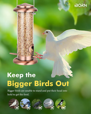 iBorn 8-inch two-port feeder with flip-top lid for quick refills