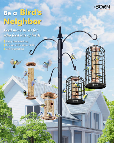 iBorn three-part assembly allows easy cleaning of the feeder