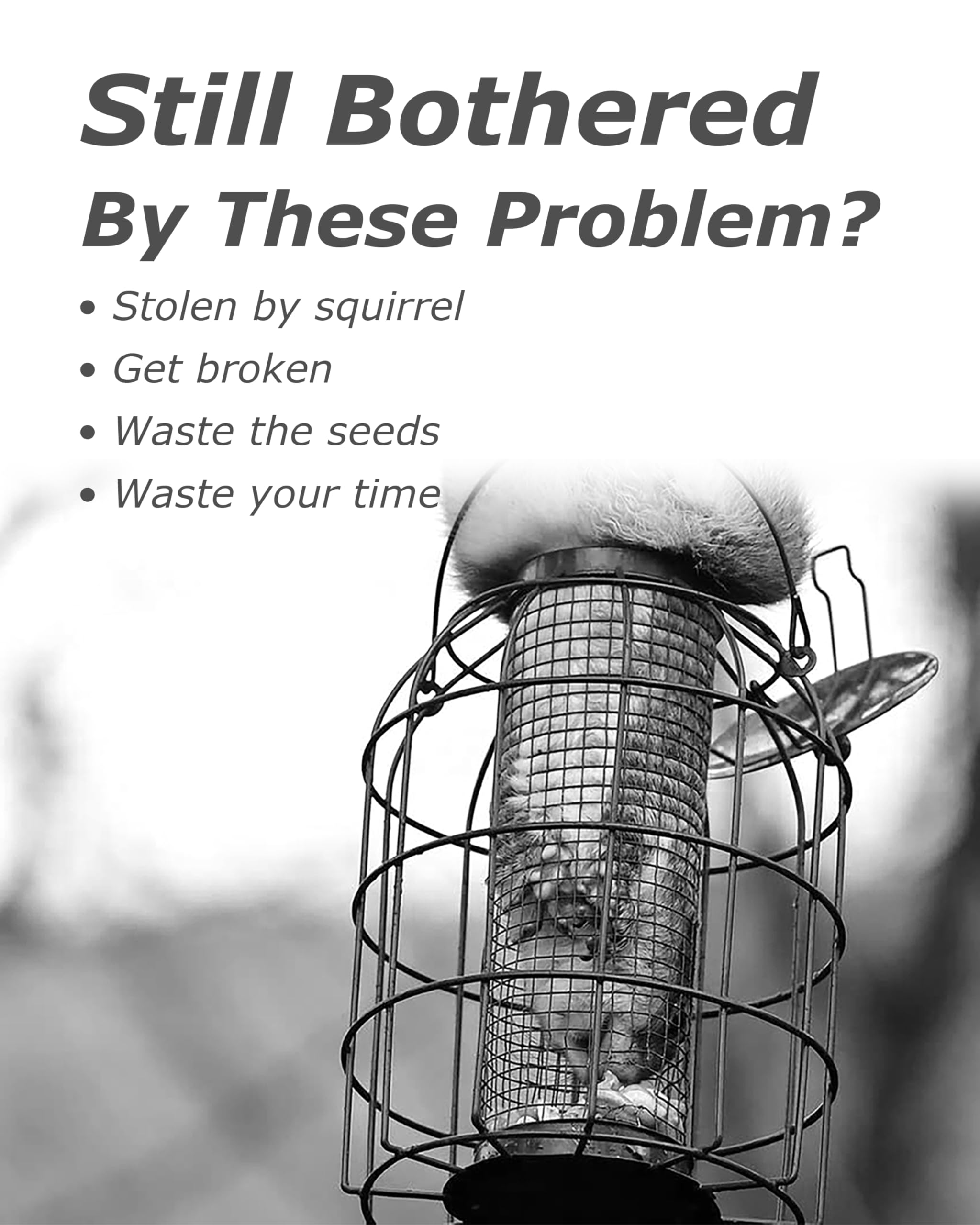 iBorn outdoor durability for year-round use in gardens and patios