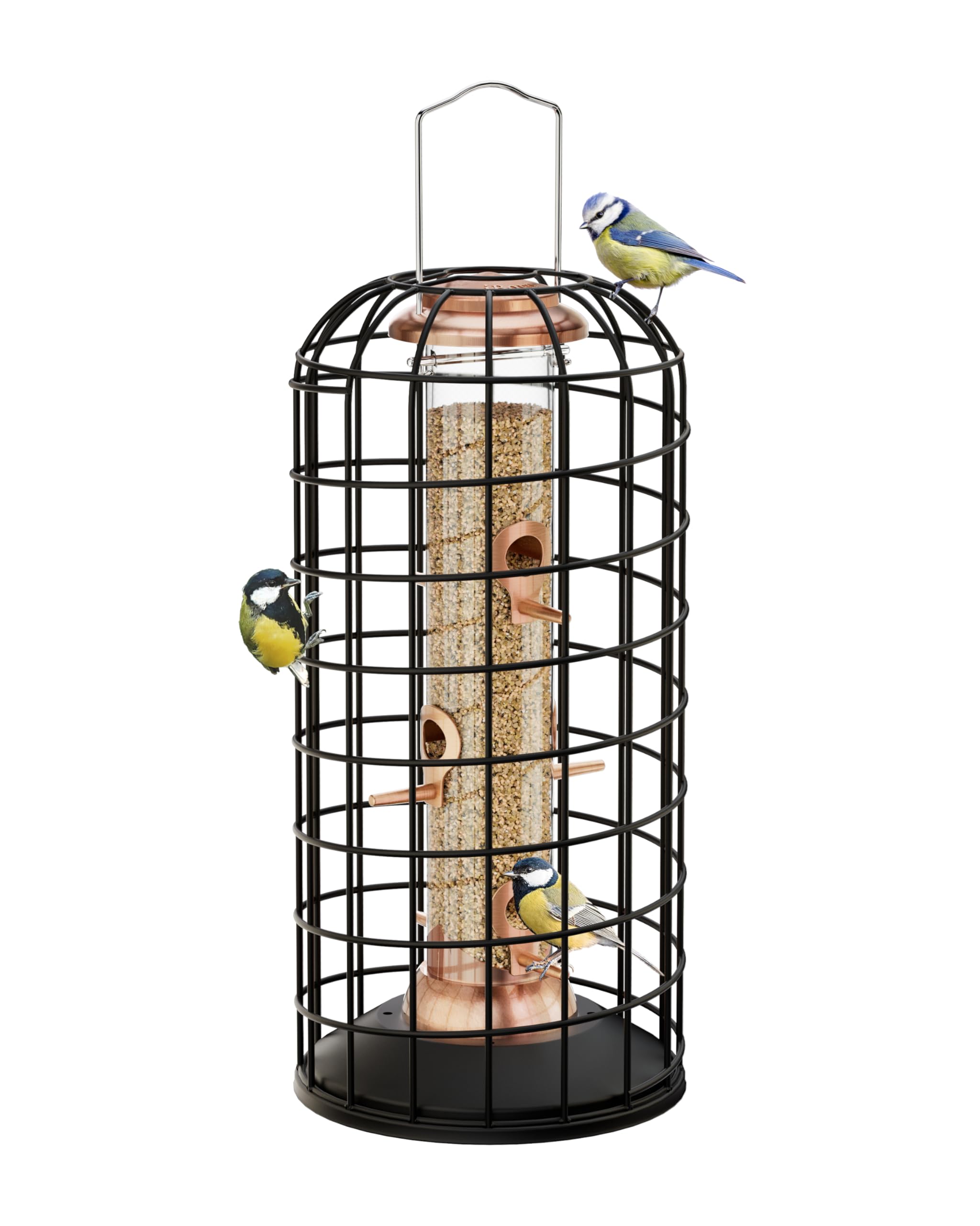 iBorn hanging feeder outer cage showing tight entry for small birds and seed protection
