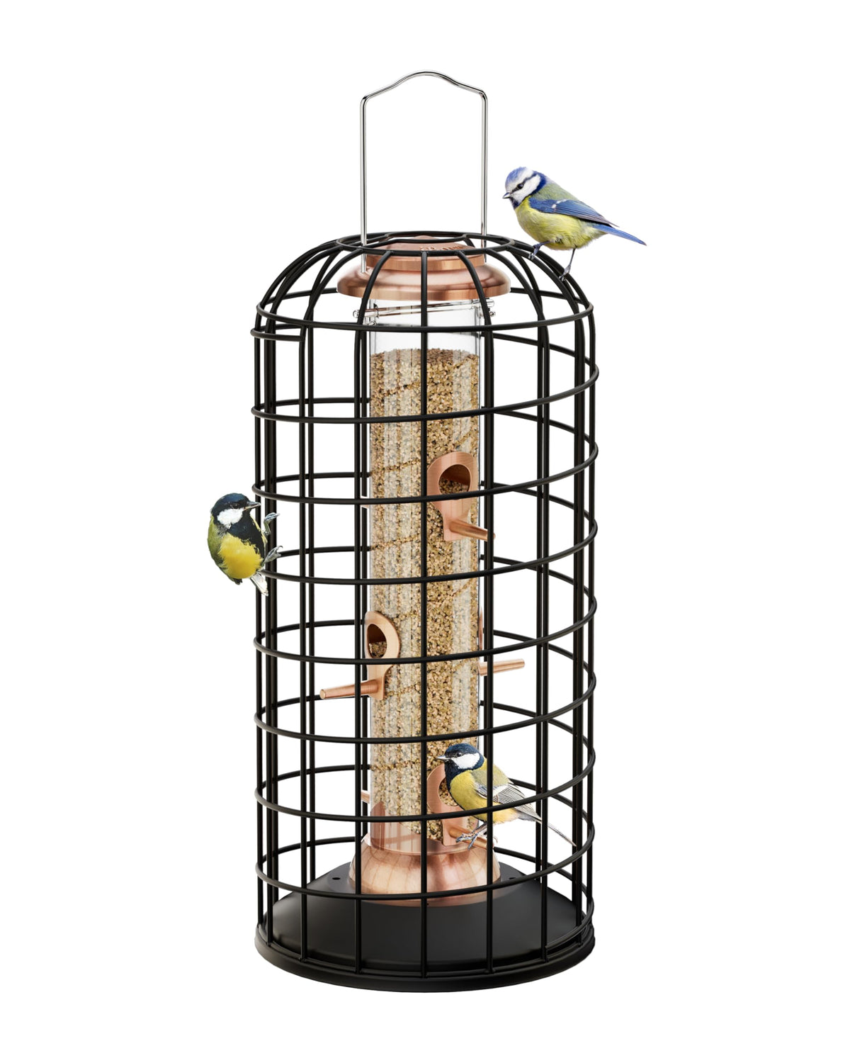 iBorn hanging feeder outer cage showing tight entry for small birds and seed protection