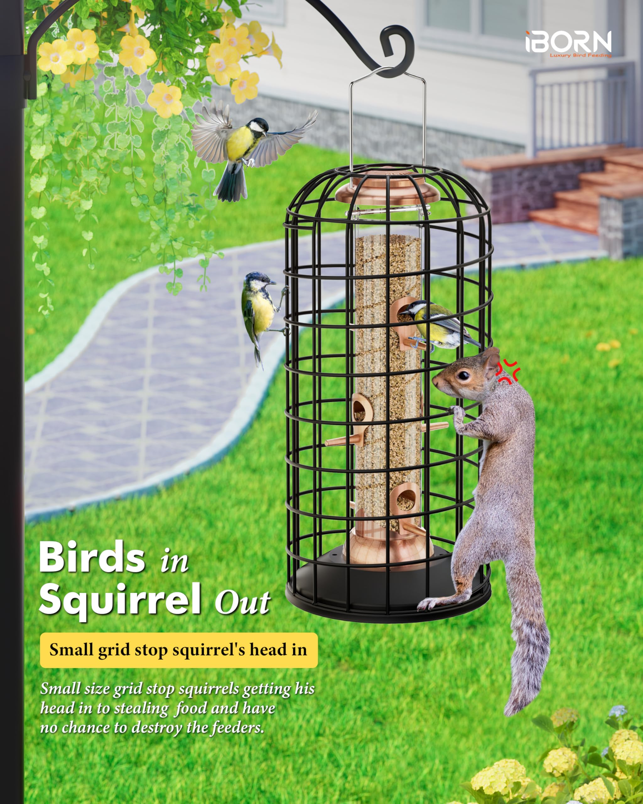 iBorn feeder highlighting ample perching space for comfortable feeding