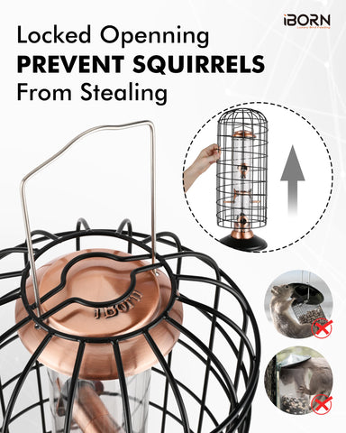 iBorn small-hole design targets sparrows and blue tits