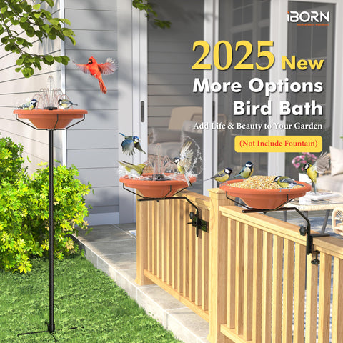 iBorn BPA-free bird bath bowl offers safe, reusable water and soaking space.