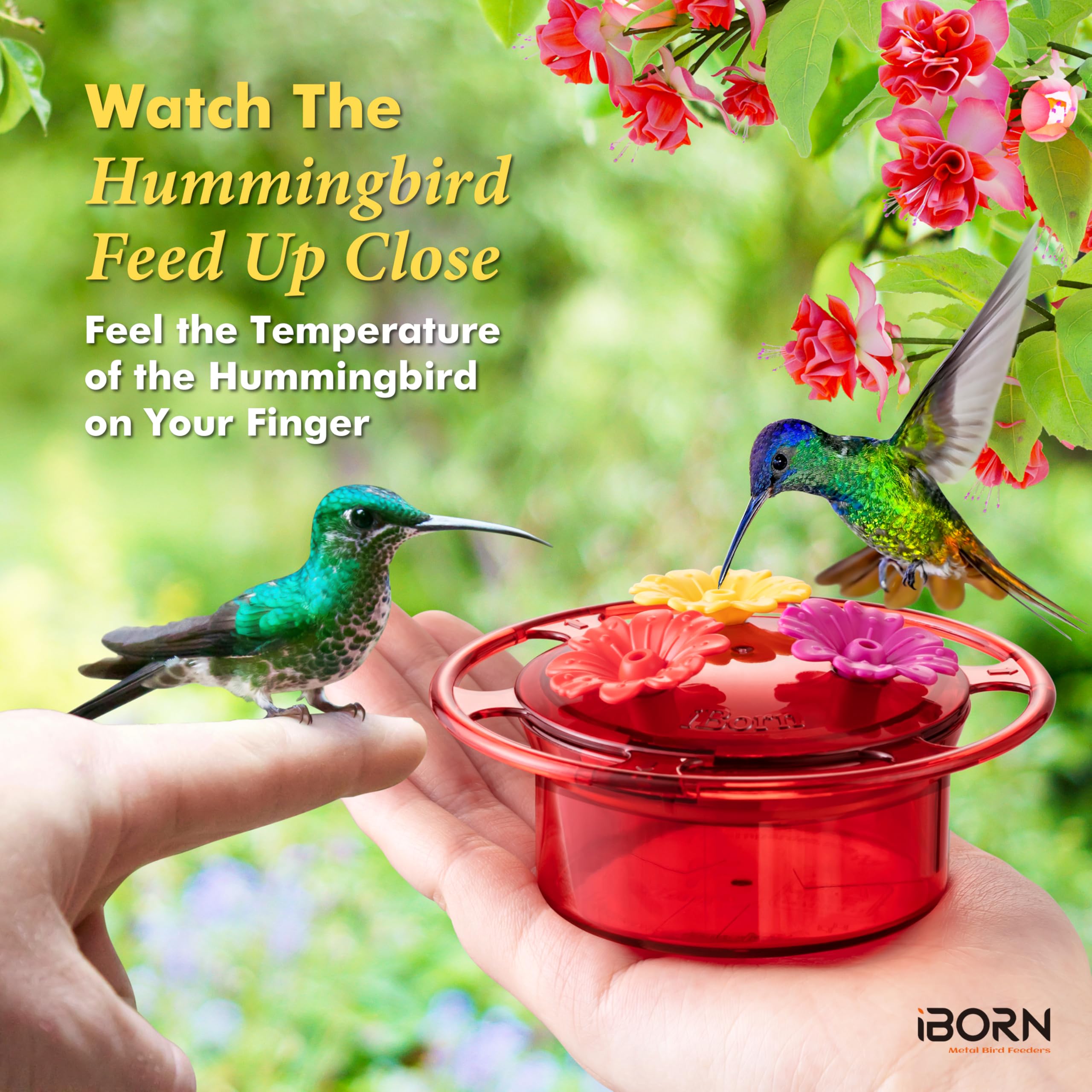iBorn BPA-free feeder designed for safe nectar sipping by small birds.