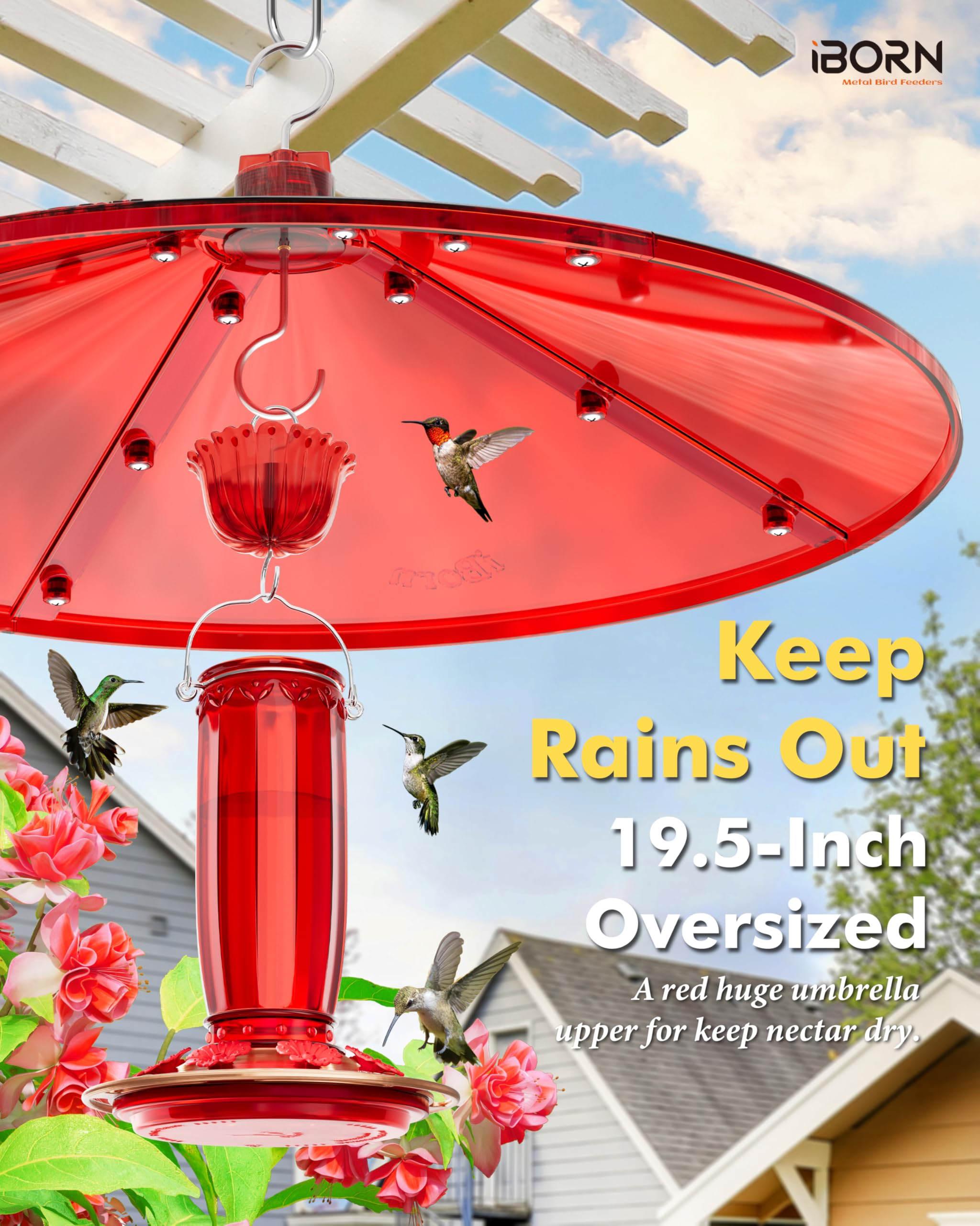 iBorn bright-red baffle attracts hummingbirds for close viewing