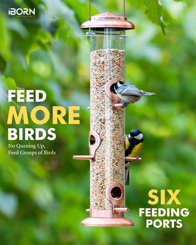 iBorn brushed copper bird feeder with transparent seed chamber for easy refills