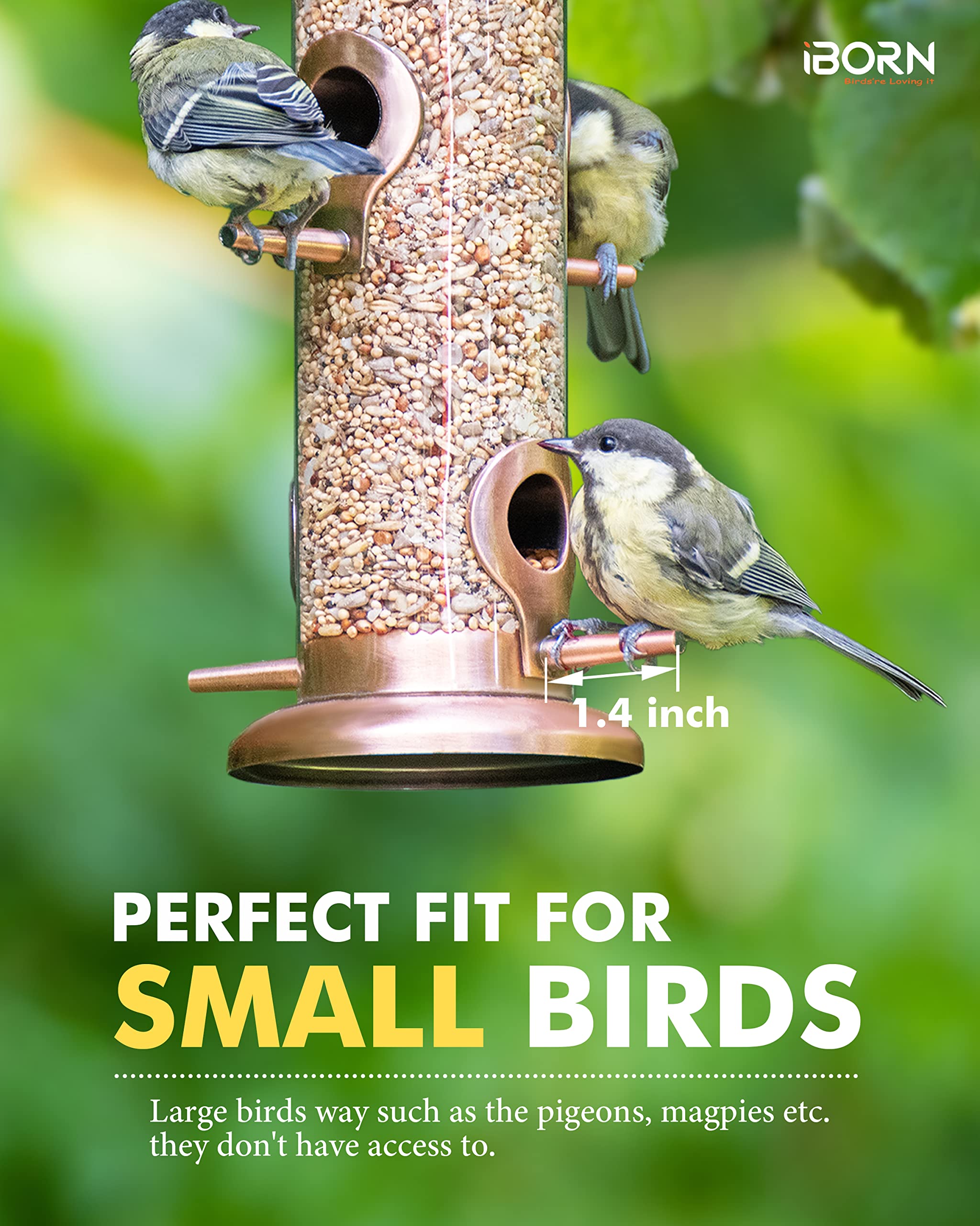 iBorn brushed copper feeder side with perches invites flock feeding