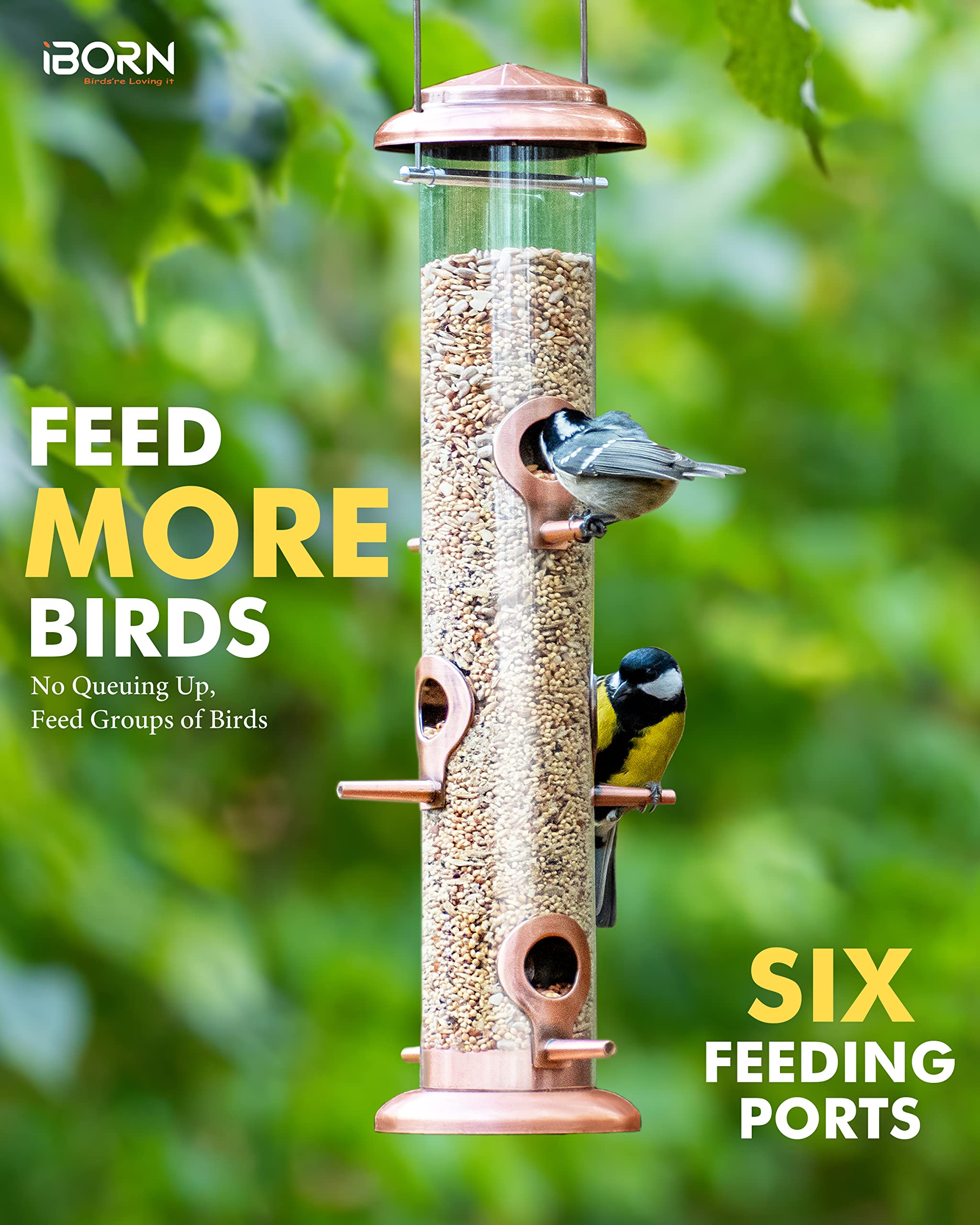 iBorn brushed copper feeder top view highlights the six port design for multiple birds