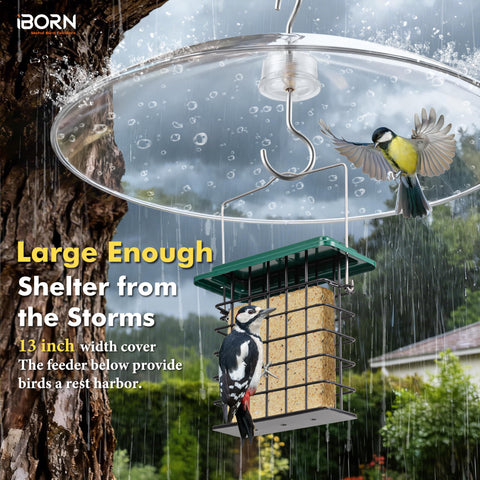 iBorn chew-proof polycarbonate baffle provides durable shelter