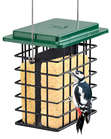 iBorn double suet feeder with metal roof in green for year-round bird viewing.