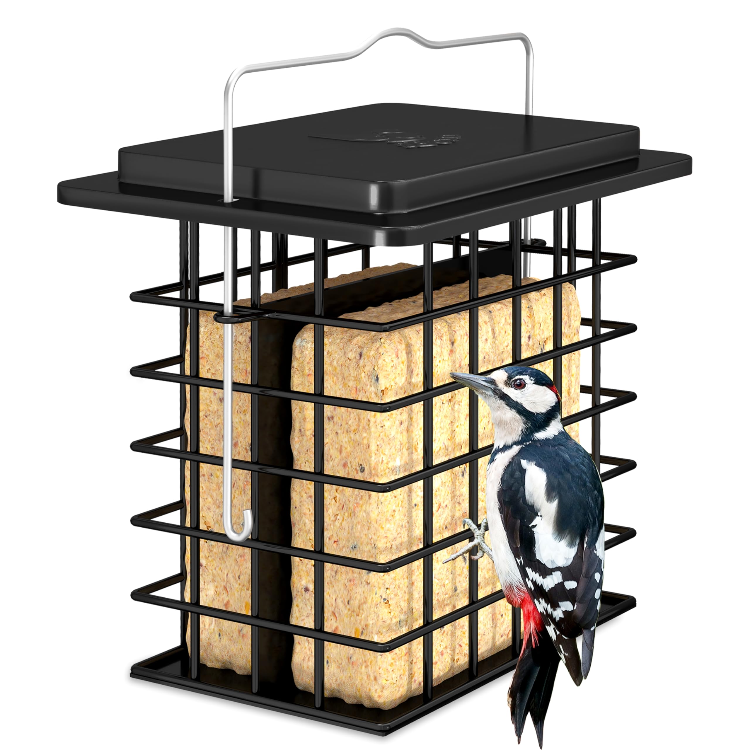 iBorn Double Suet Feeder for outdoor hanging attracts a variety of birds.