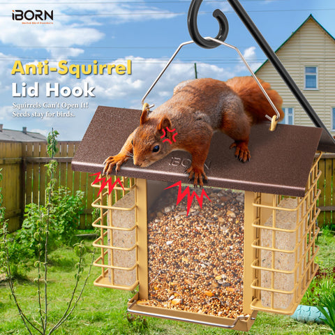 IBorn double suet holders attract varied birds and minimize refills.