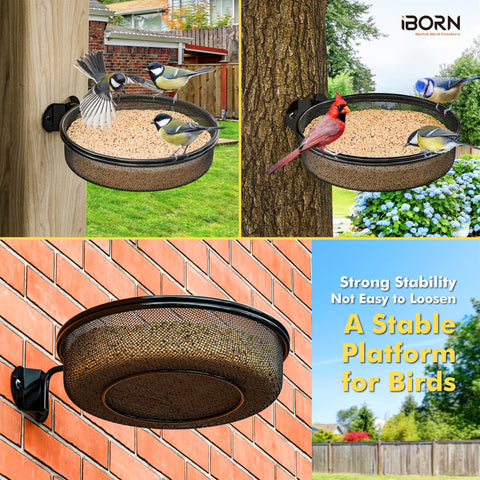 iborn durable metal tray supports heavy seed loads and active birds