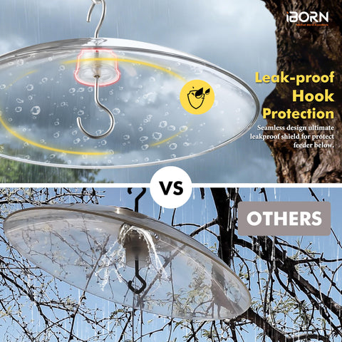 iBorn fully transparent guard offers 360° bird viewing