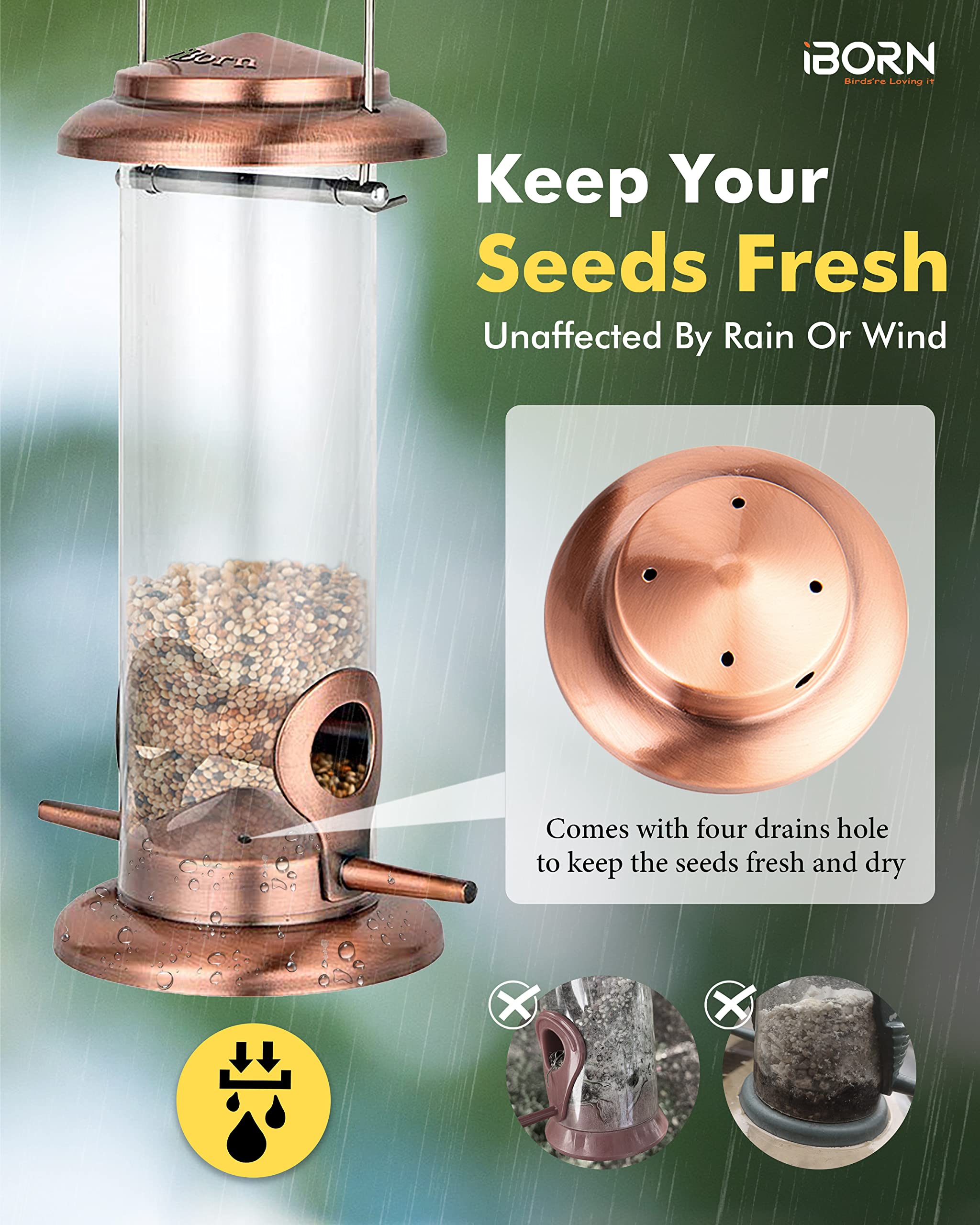 iBorn mix seed feeder compatible with seeds and mealworms