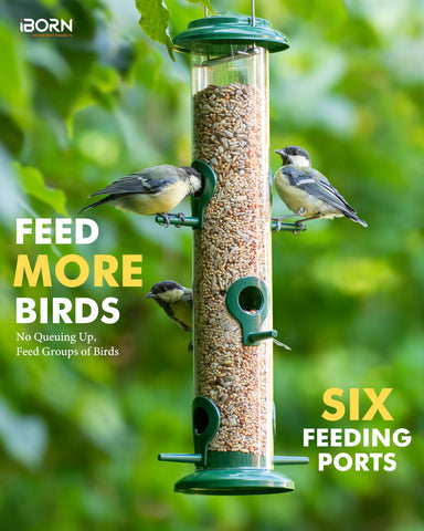 iBorn green powder-coated outdoor feeder rust-resistant