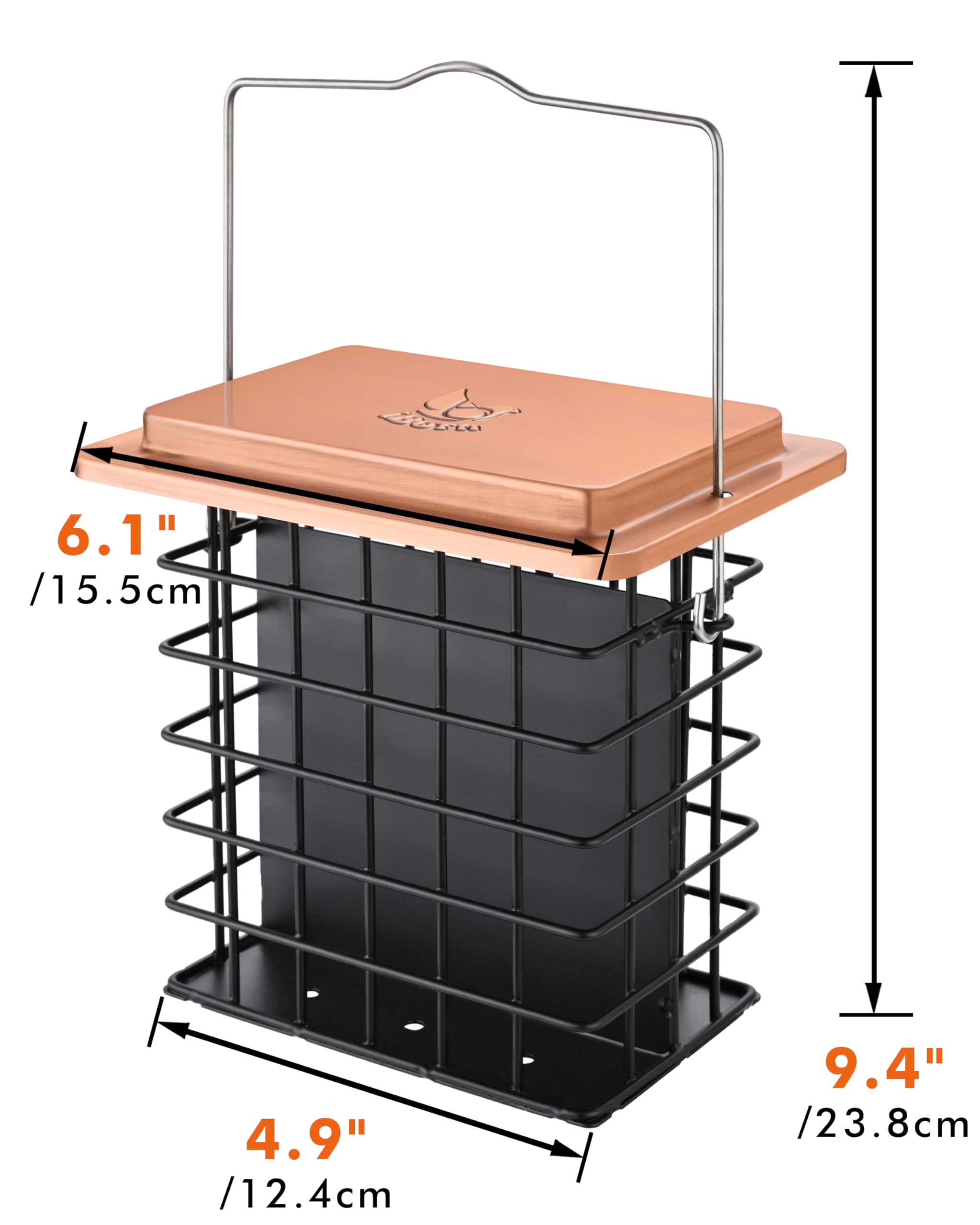 iBorn green-shade stock option for versatile garden aesthetics.