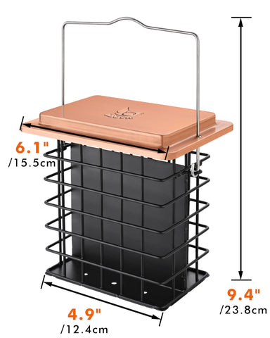 iBorn green-shade stock option for versatile garden aesthetics.