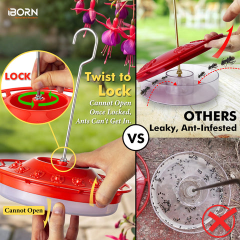 iBorn feeder highlighting 3mm narrow port for hummingbirds and bee deterring