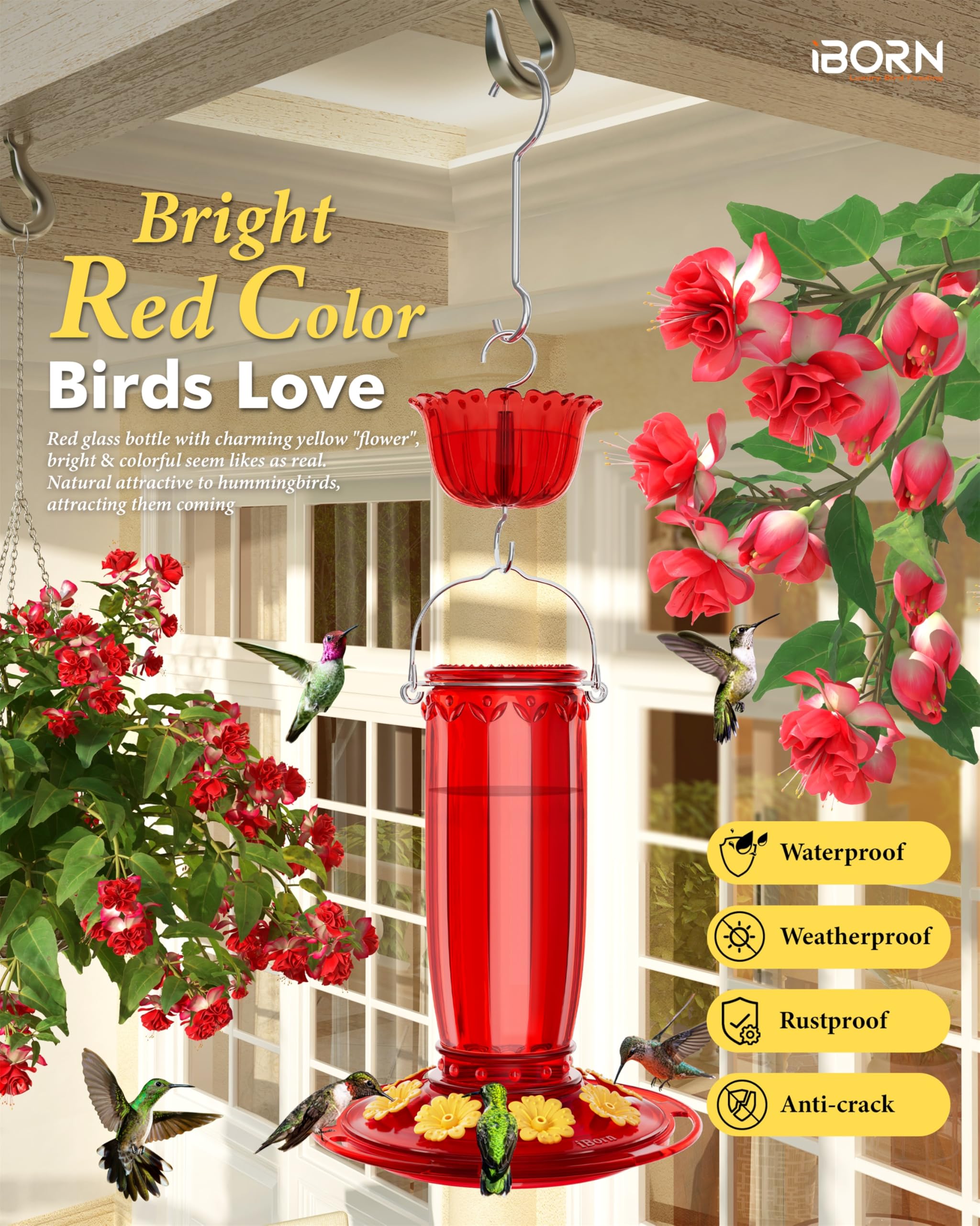 iborn hummingbird feeder glass bottle with wide mouth for easy cleaning