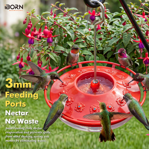 iBorn feeder with leak-proof tray preventing spills during movement