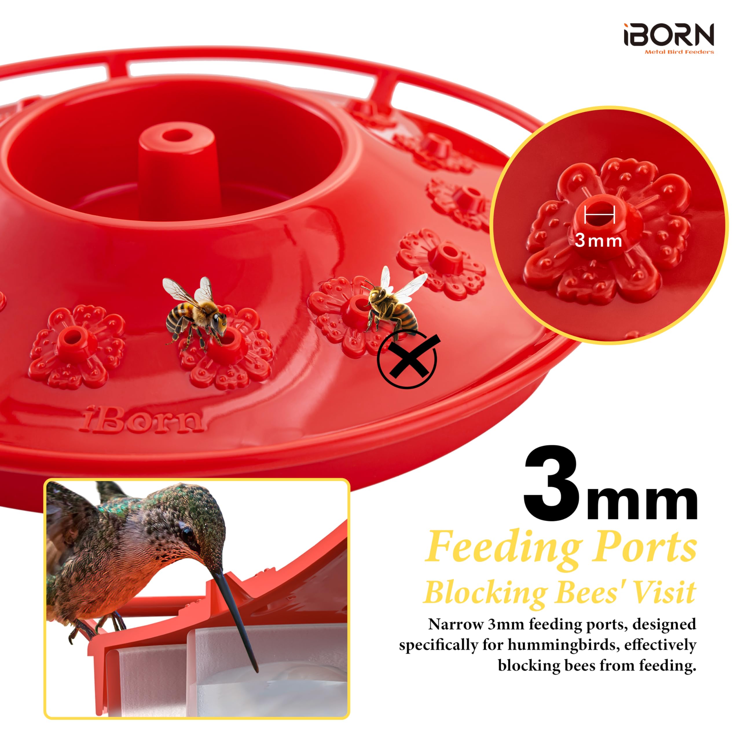 iBorn feeder hanging outdoors on patio for garden viewing