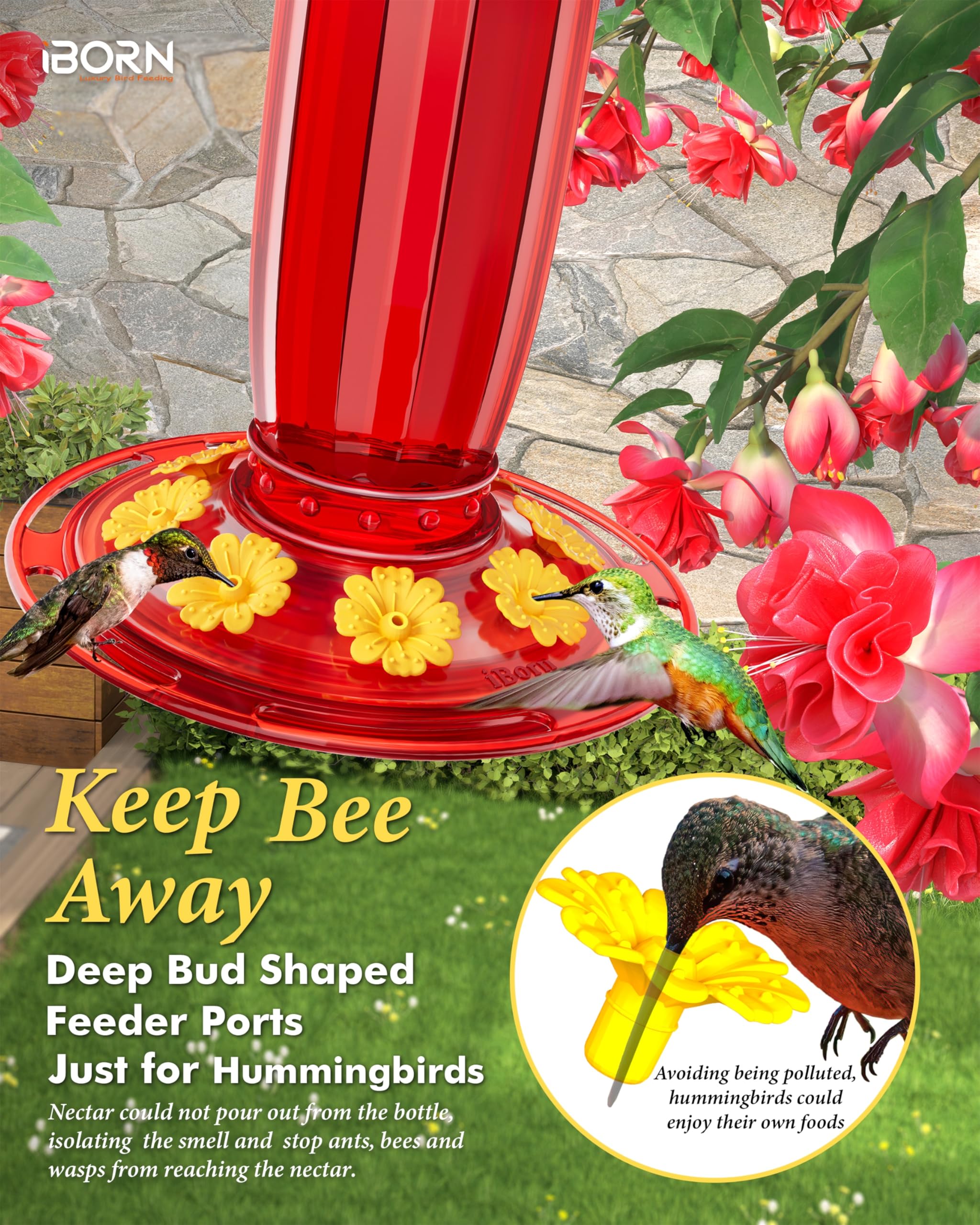 iborn hummingbird feeder silicone ports protect delicate beaks