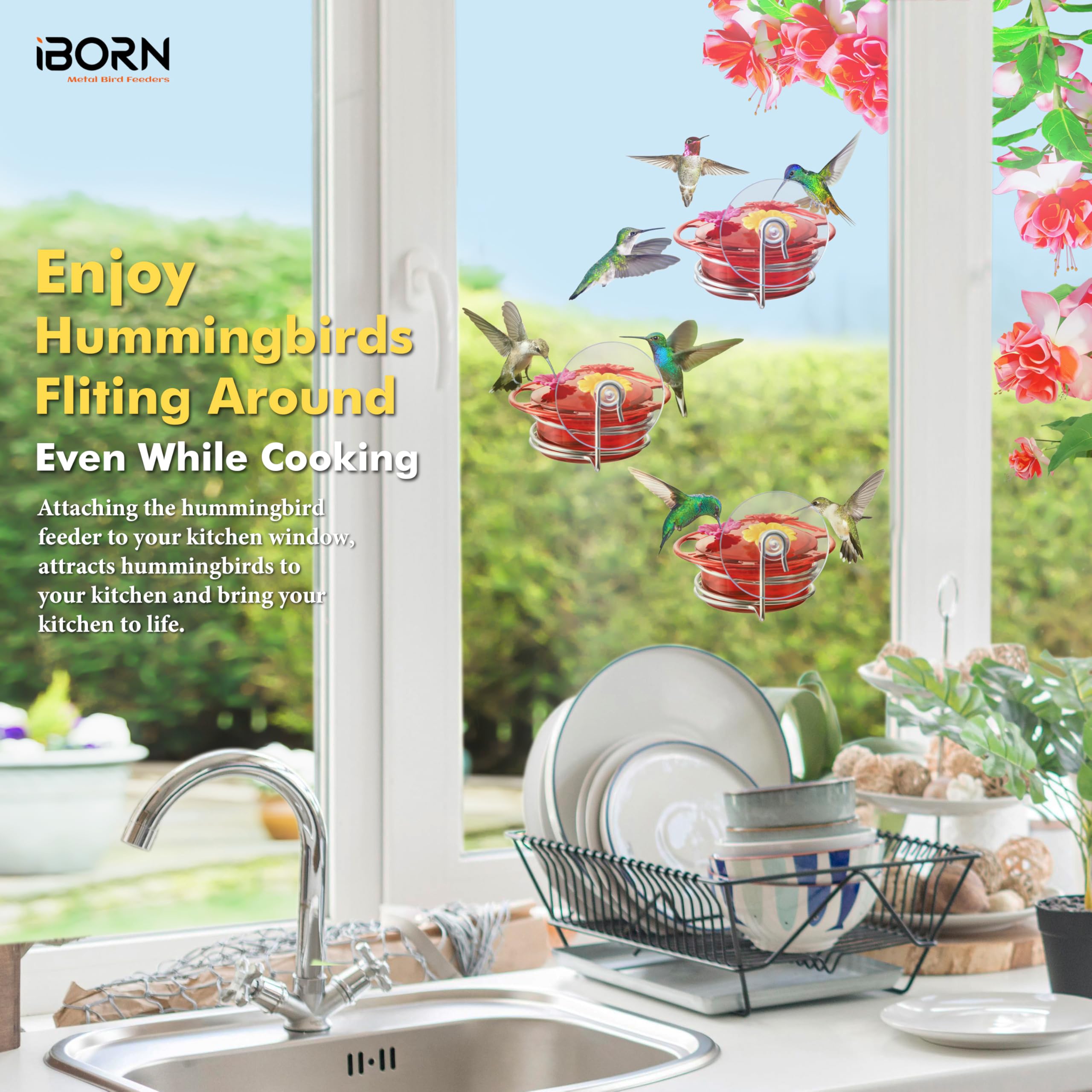 iborn feeder stainless steel base for durability and easy cleaning.